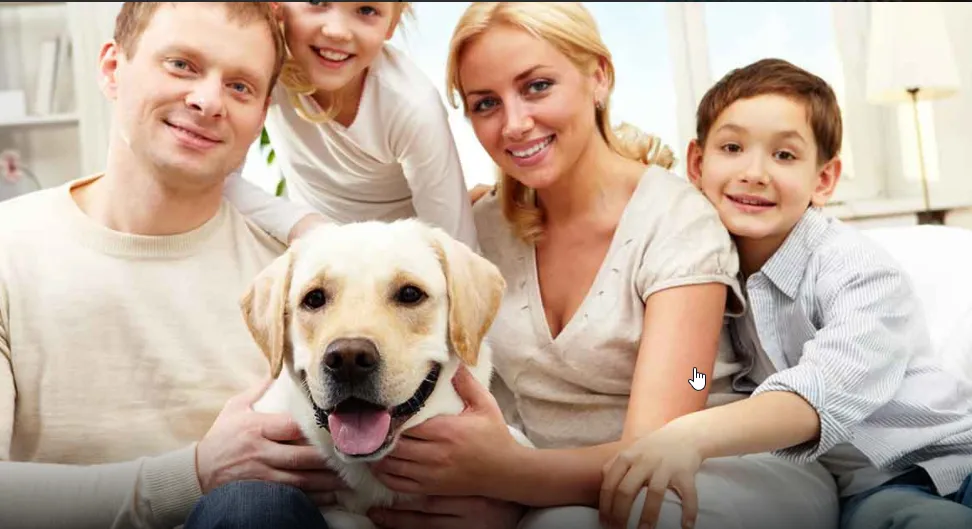 ТОП 12 породи кучета за семейство
