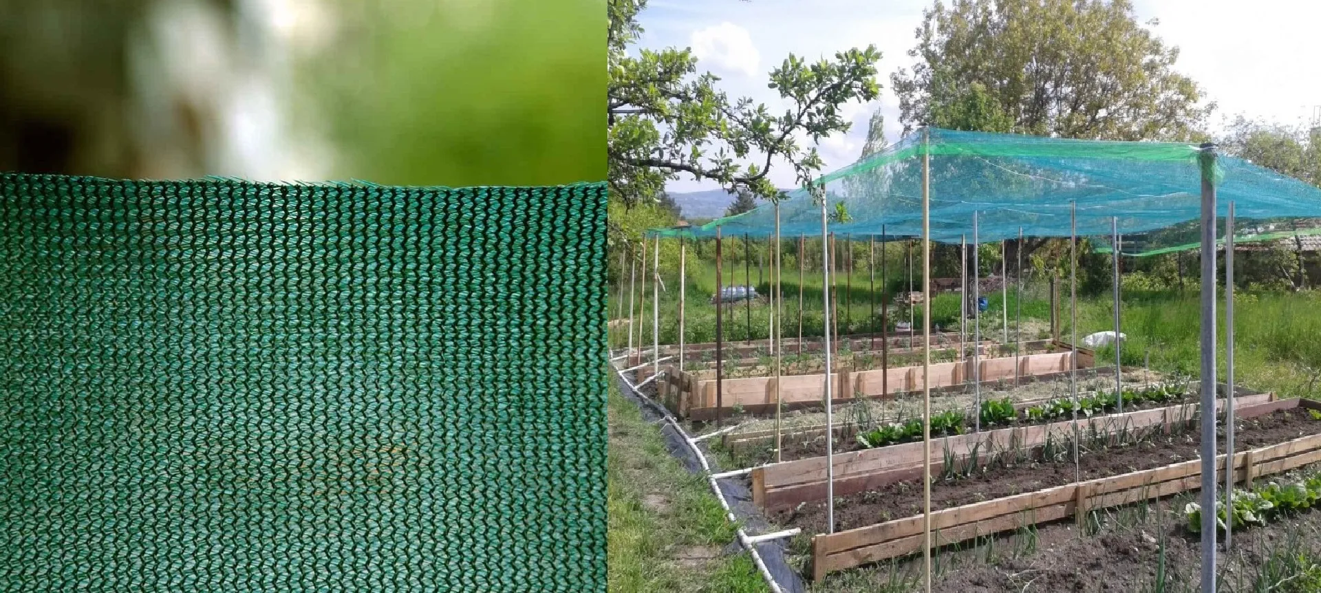 Зелени мрежи против градушка за земеделие и за засенчване на огради