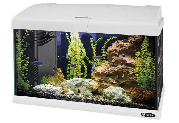 Ferplast - Оборудван аквариум за риби в сладка и солена вода Capri 50 Led, 40 литра, 52 x 27 x h 36 см. 1