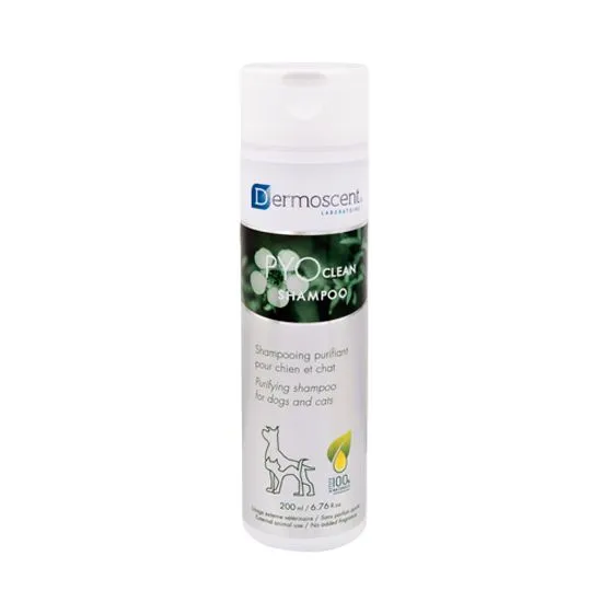 Dermoscent PYO clean Shampoo - Лечебен шампоан за намаляване на повтарящи се кожни инфекции, за кучета и котки, 200 мл.