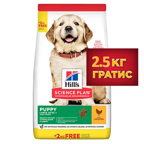 Hill’s Science Plan Dog Puppy Large Breed - Пълноценна суха храна за подрастващи кучета от едри и гигантски породи над 25кг, с пилешко месо –  14.5 кг.