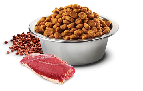 N&D Quinoa Skin & Coat Mini - Пълноценна храна при хранителни чувствителности, за кучета от дребни и мини породи (до 10кг) в зряла възраст с патешко месо, киноа, кокос и куркума, 800 гр. 2