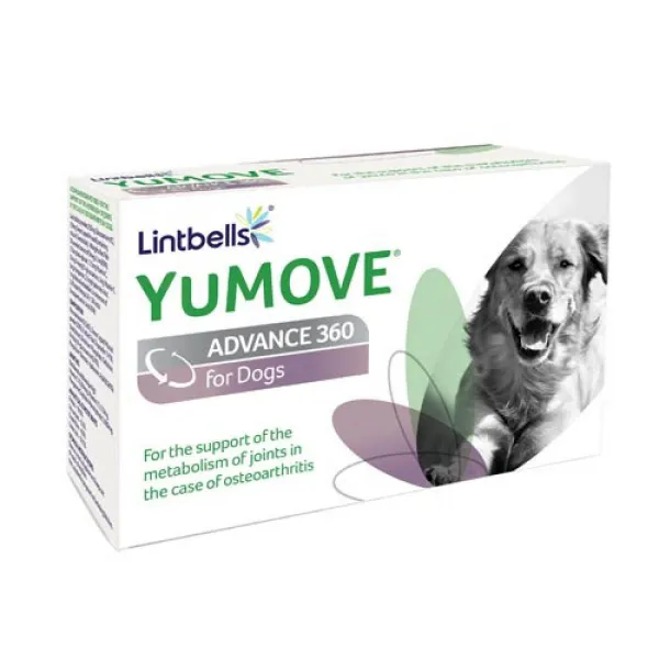 Lintbells YUMOVE Advance 360 for dogs - Овкусени таблетки за ставни проблеми (артрози) с екстракт от зеленоуста мида, 270 бр.