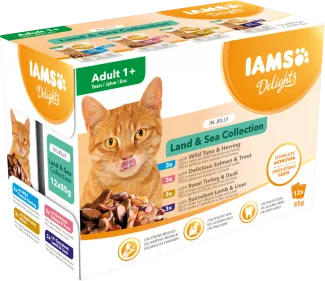 IAMS Delights Land & Sea Collection in Jelly - Пълноценна и балансирана първокласна мокра храна за възрастни котки в удобна мулти опаковка с няколко вида месо, 12 броя пакет х 85 гр.