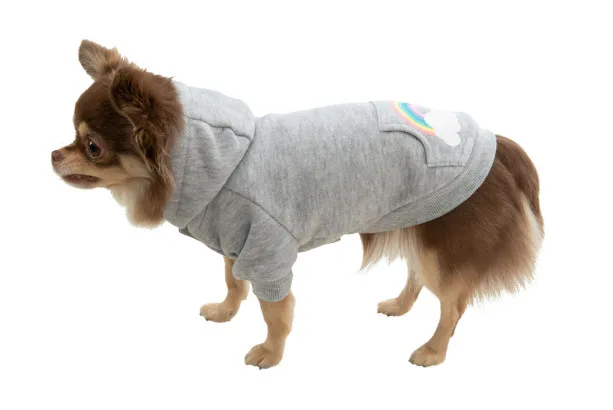 Trixie Sudadera Rainbow Falls XXS - Модерен суитчър с качулка за кучета, 18 см. 2