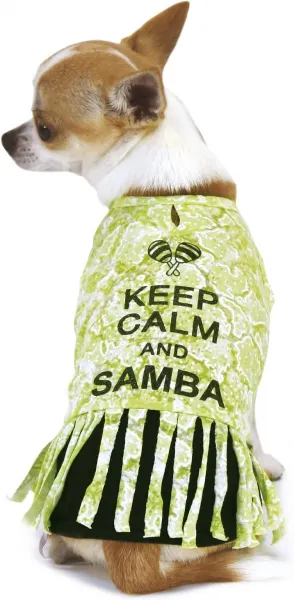Croci Keep Calm - Модерна дрешка за кучета, 30 см. 1