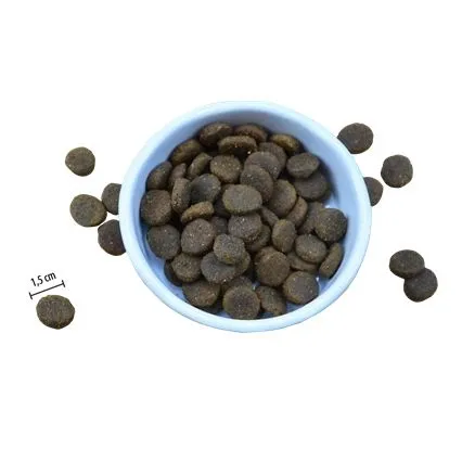 Riverwood Adult - Пълноценна суха храна, специално разработена за възрастни кучета с активен начин на живот с еленско и глиганско месо, 2 кг. 2