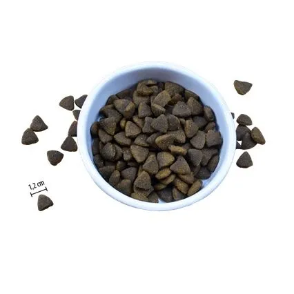 Riverwood Adult - Пълноценна суха храна за израснали кучета с проблеми с кожата или козината със сьомга, 12 кг. 2
