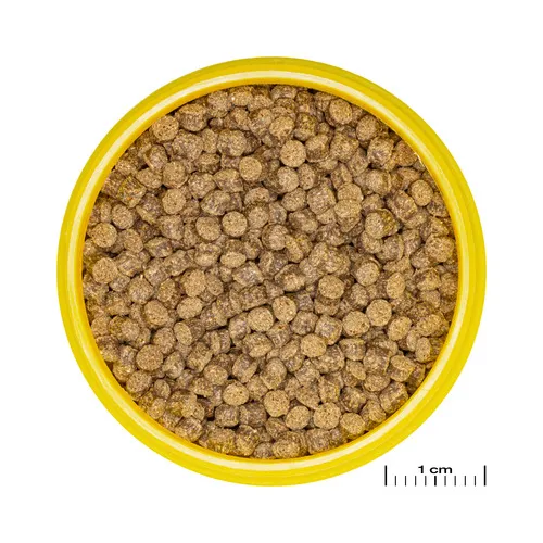 JBL Pronovo Fantail Grano M - Основна гранулирана храна, гранули с размер M за воални (шлаери) и други видове златни рибки с размер 8-20 см 250 гр. 2