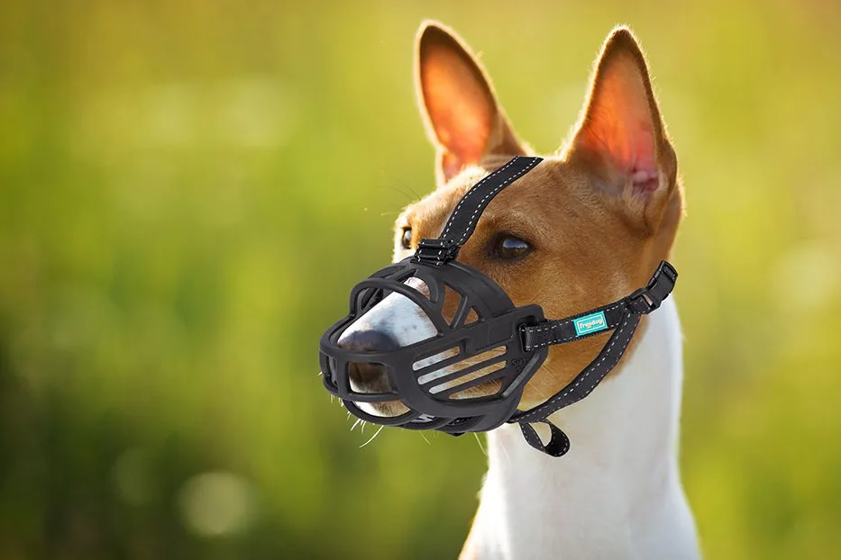 Freedog Ergo Plus Muzzle Medium - Силиконов намордник за кучета 2