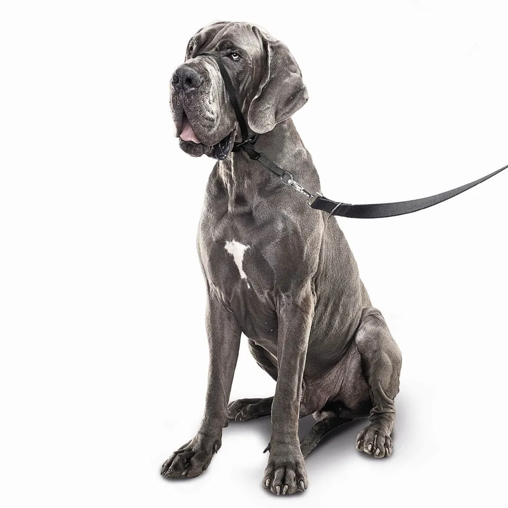 Beaphar Gentle Leader - Повод срещу дърпане за кучета от едри породи, черен 2