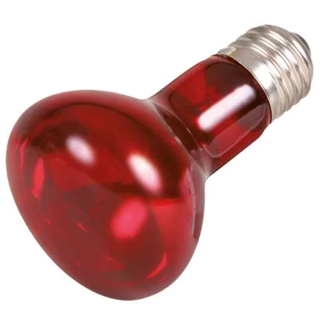 Trixie Infrared Heat Spot Lamp - Инфрачервена точкова точкова лампа за терариум, 35 W 2