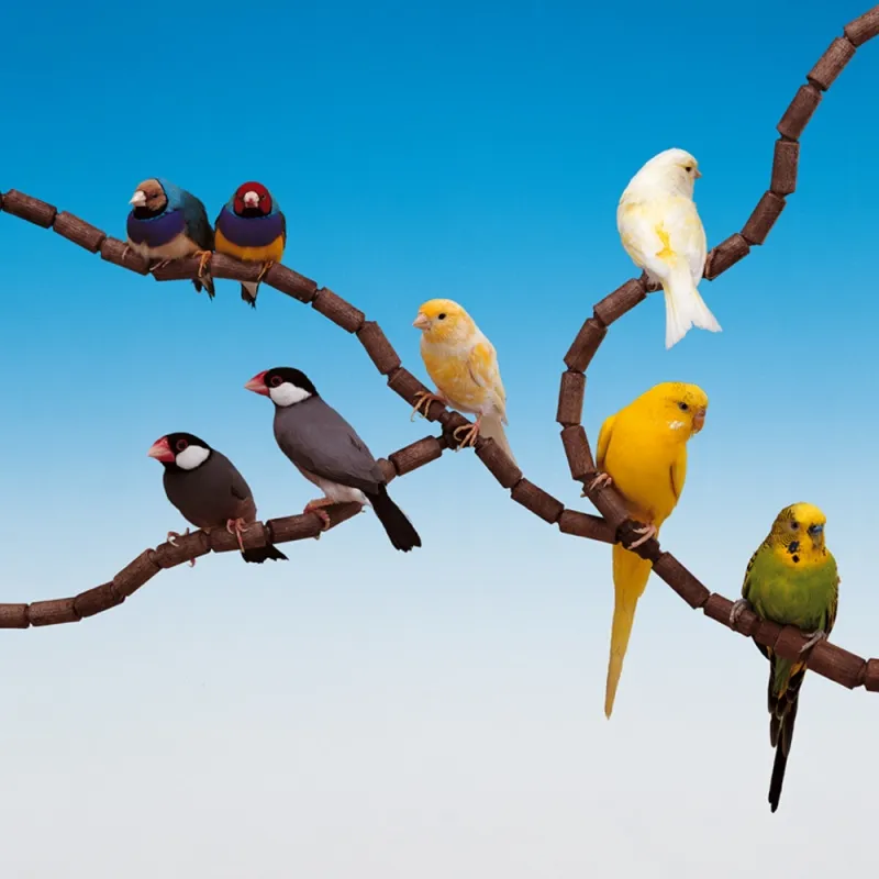 Ferplast birds toy - Кацалка/клон от модулна система за канарчета, екзотични и други птици, Ø 1,2 см. 3