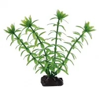 Ferplast - Egeria - Декоративно растение за аквариум, 3,5 x 2 x h 10 см. 2