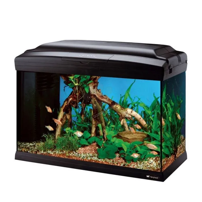 Ferplast - Cayman 50 Professional Black - Стъклен аквариум в комплект с лампа, вътрешен филтър и таймер,52 x 27 x h 38 см. - 40 литра 2