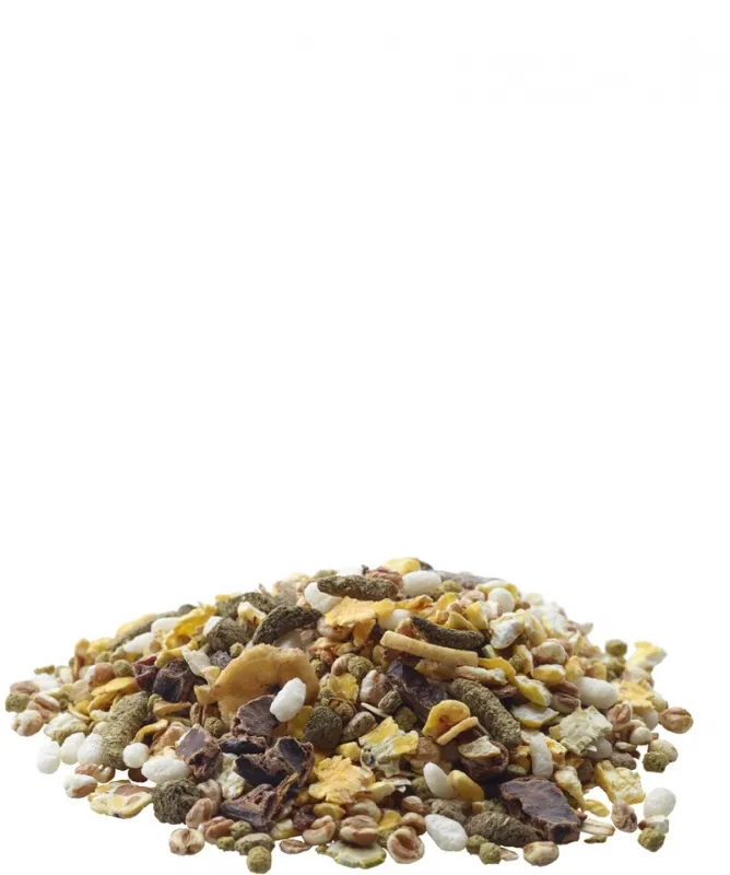 Versele Laga Snack Cereals - разнообразна закуска от зърнени храни, за всеядни гризачи, 500 гр. 3