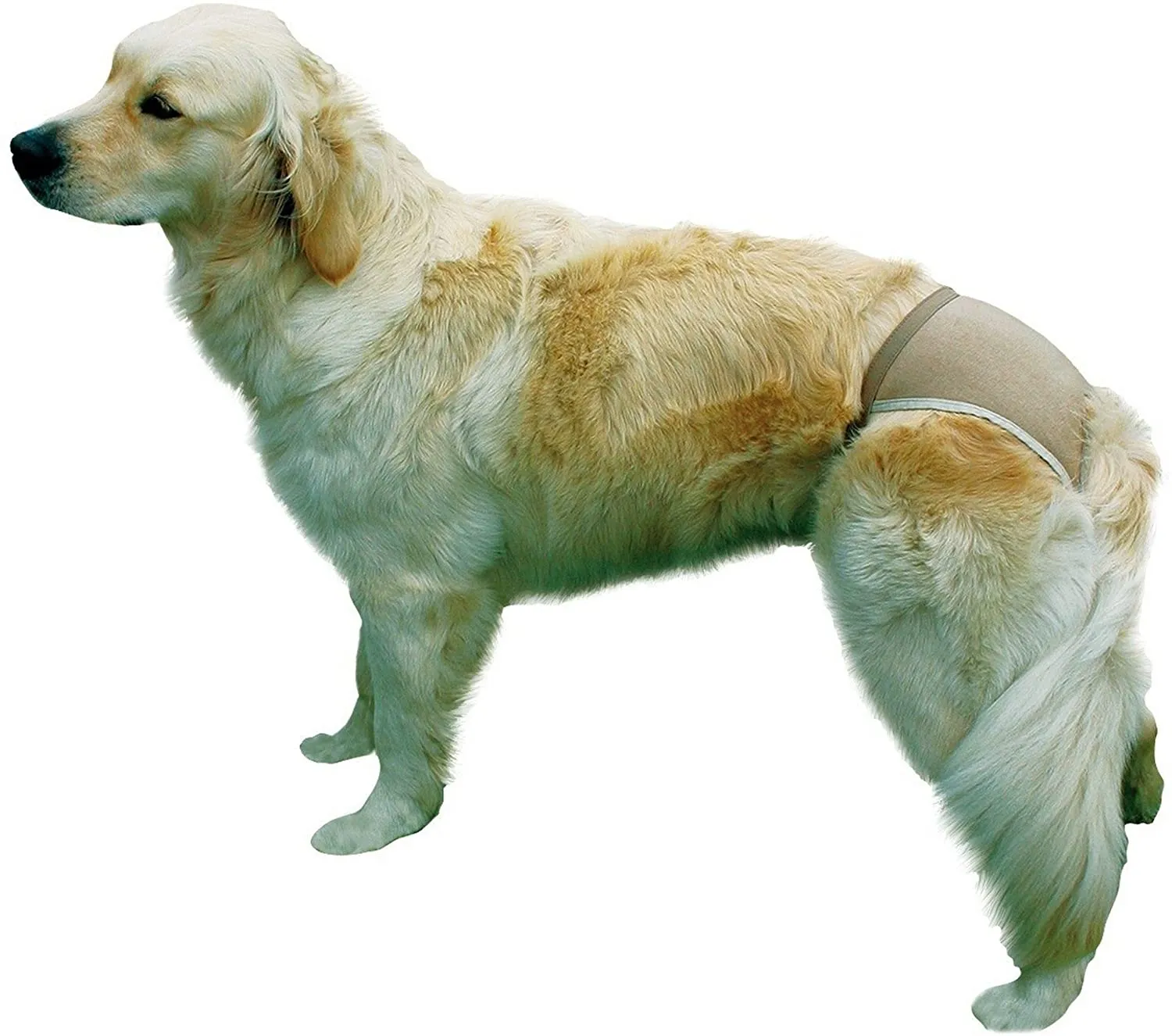 Trixie Protective Pants  - предпазни гащи за кучета  S 24 - 31 см 2