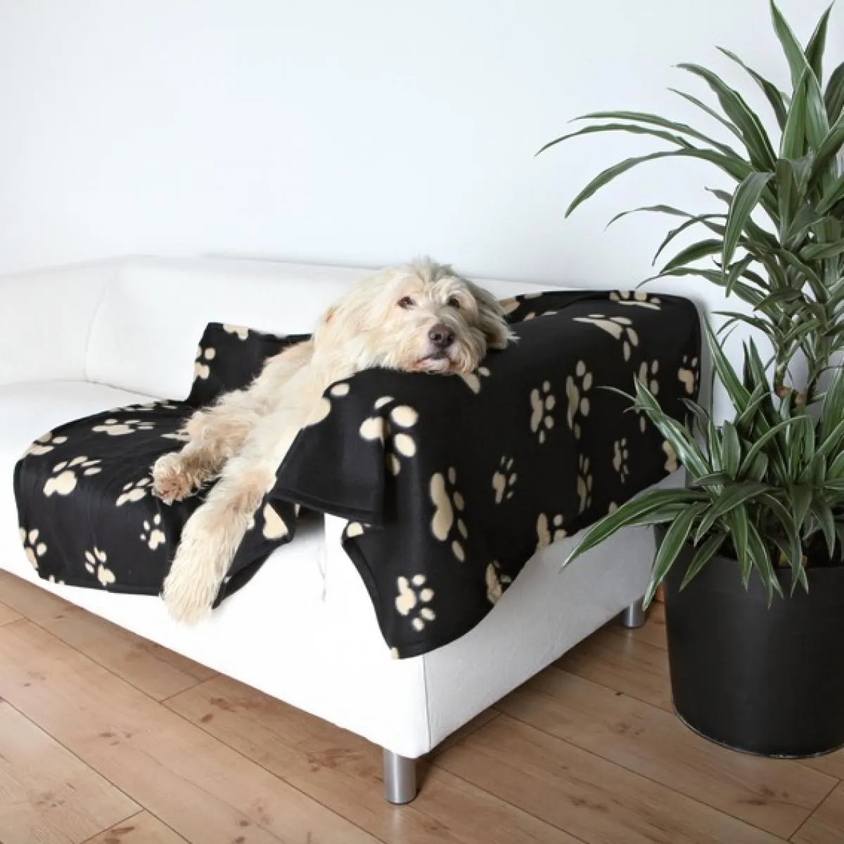 Trixie Barney Blanket black beige - Одеяло за кучета черно с бежови лапички 150 / 100 см 2