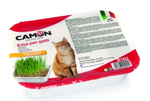 Camon Cat grass with barley seeds - Котешка трева със семена от ечемик 100 гр. 2