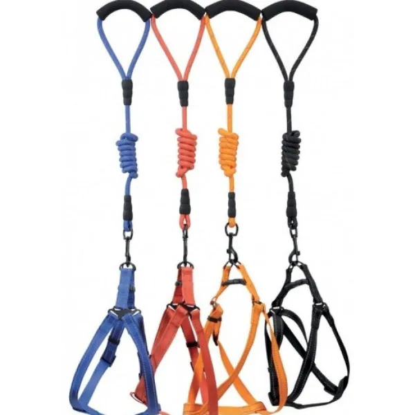 Camon Nylon dog harness and rope leash with reflective inserts - нагръдник с повод за малки кучета 20 мм. / 10 /1200 мм. - Различни цветове
