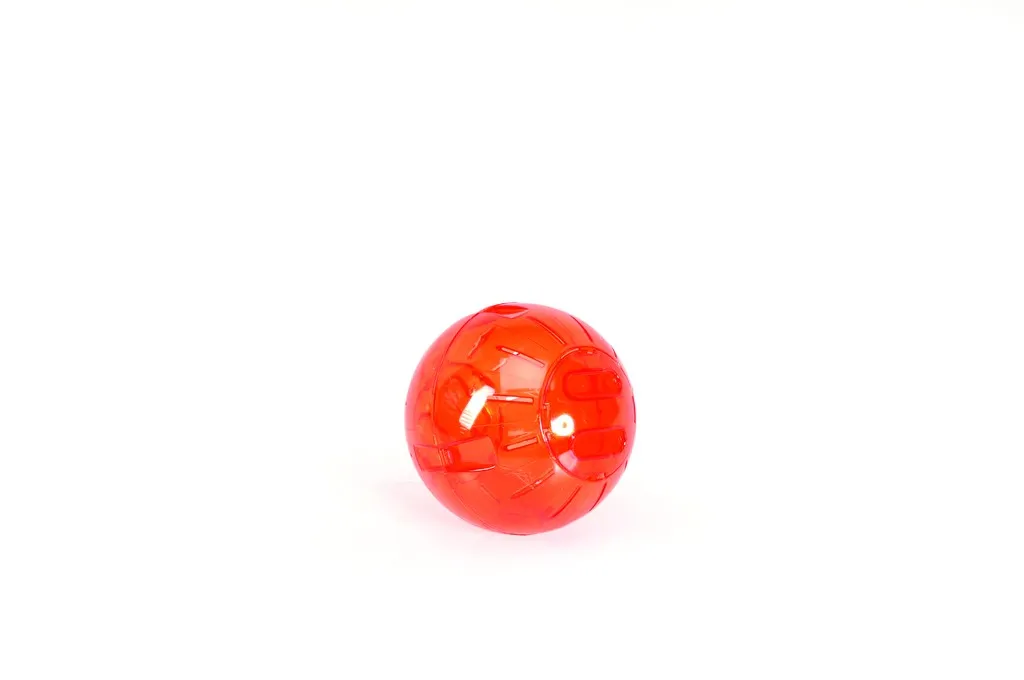 Camon Running ball - сфера за гризачи 12 см. 2