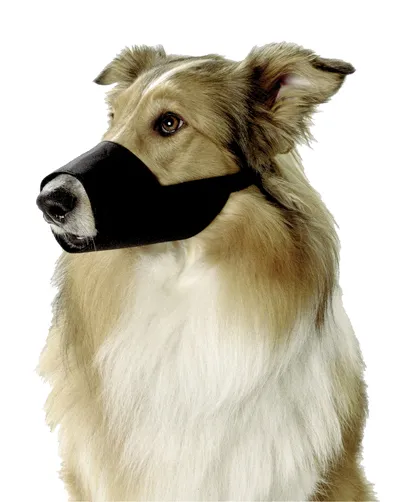 Миазоо - Кучешки намордник от плат регулируем за едри породи- черен 1