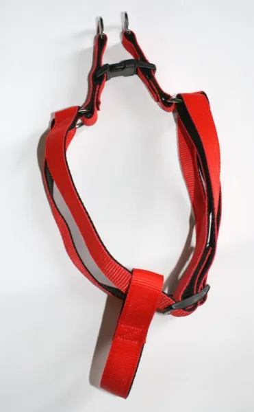 Миазоо - Нагръдник за кучета  от изкуствена лента, 25 мм - червен, регулиране от 55 до 75 см. 1
