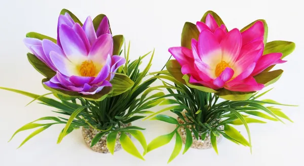 Sydeco Lotus Flower- Растение за аквариум 18 см.