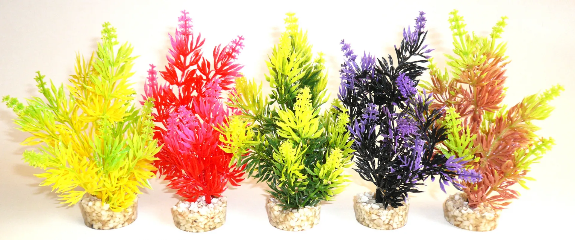 Sydeco Nano Fiesta- Растение за аквариум 14 см.