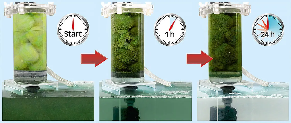 Sera pond crystal clear Professional - За кристално прозрачна вода в езерото 350 гр. 2