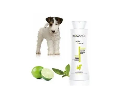 Biogance Terrier Secret shampoo -Шампоан за всички видове твърдокосмести кучета,порода Териери 250 мл.