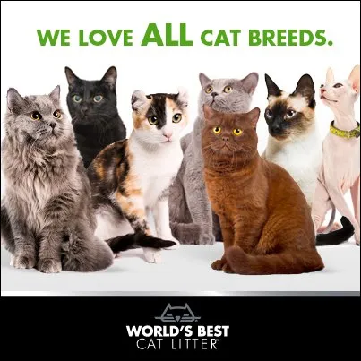 World's Best Cat Lavender Scented Multiple cat litter - Най добрата котешка тоалетна за Вашият дом с аромат на лавандула,биоразградима 3.18 кг.  2