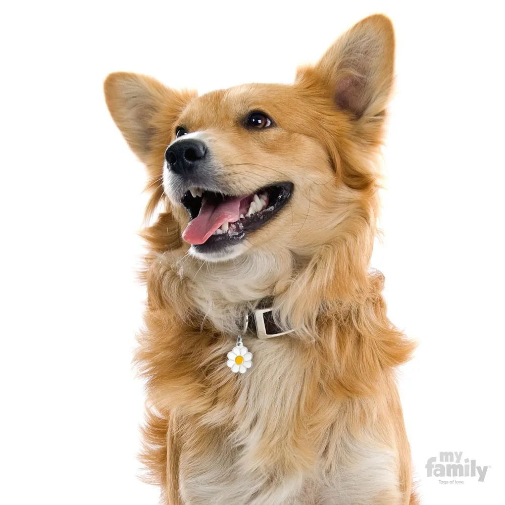 My Family Dog Tag Daisy- Ръчно изработен медальон , маргаритка- адресник за кучета 2.40 см. / 2.40 см.  3