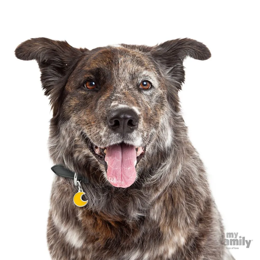 My Family Dog Tag Moon- Ръчно изработен медальон , Луна- адресник за кучета 2.15 см. / 2.15 см.  2