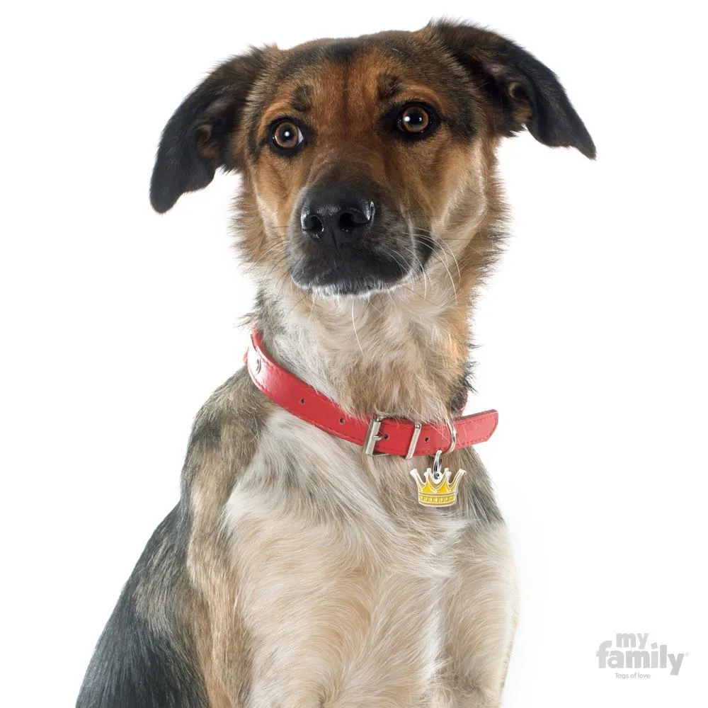 My Family Dog Tag Crown- Ръчно изработен медальон , корона- адресник за кучета 3.00 см. / 2.00 см.  2