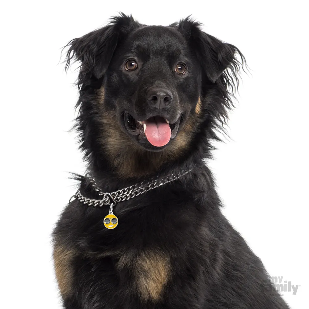 My Family Dog Tag - Ръчно изработен медальон ,emoticon Cool - адресник за кучета 2.85 см. / 2.15 см.  2