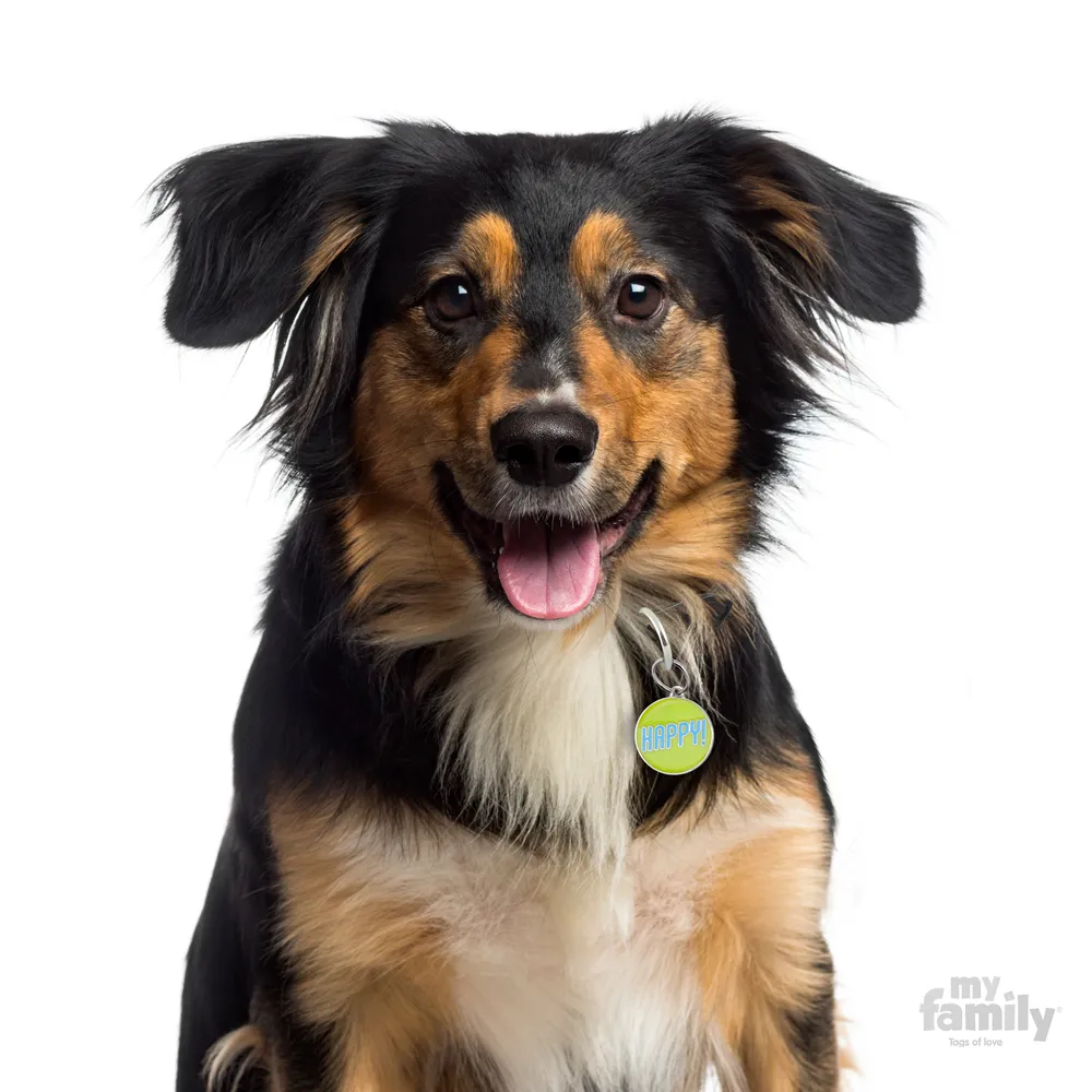 My Family Dog Tag Big Circle Happy - Ръчно изработен медальон , с надпис Happy- адресник за кучета 3.93 см. /3.17 см. зелен 2