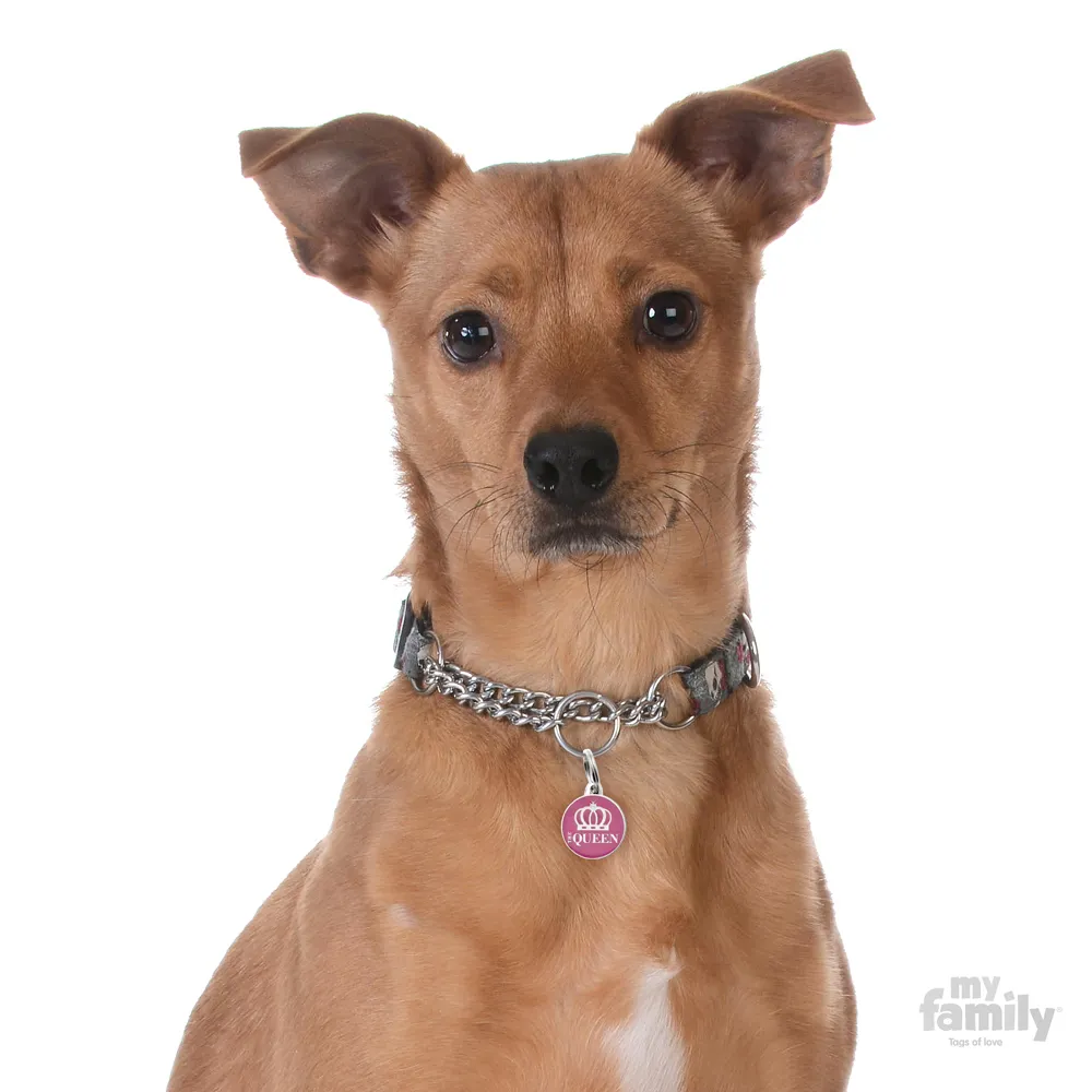 My Family Dog Tag - Ръчно изработен медальон , с надпис The Queen - адресник за кучета 3.93 см. /3.17 см. розов 2