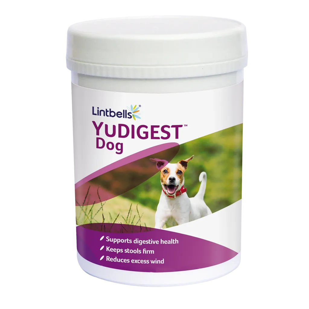 Lintbells YuDIGEST – Висококачествен пробиотик ,овкусени таблетки за кучета с чувствителна храносмилателна система 120 таблетки 2