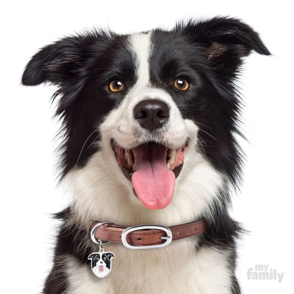 My Family Dog Tag  - Ръчно изработен адресник , Border Collie за кучета 3.2 см/ 3.0 см. 2