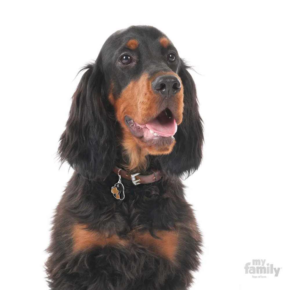 My Family Dog Tag  - Ръчно изработен адресник , Gordon Setter Dog за кучета 3.4 см/ 3.0 см.  2