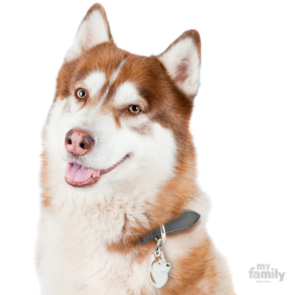 My Family Dog Tag  - Ръчно изработен адресник , Siberian Husky Dog за кучета 2.2 см/ 3.7 см. кафяво-бяло 2