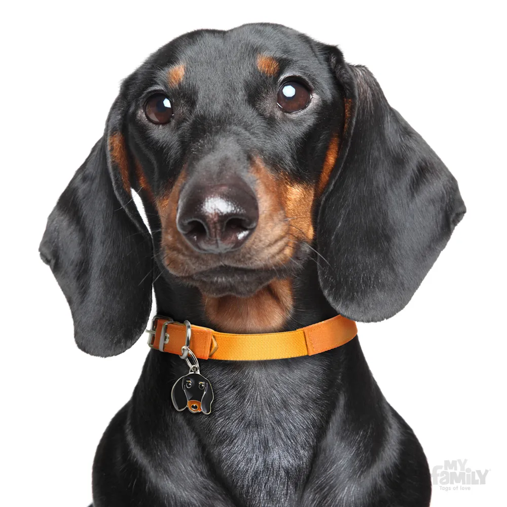 My Family Dog Tag  - Ръчно изработен адресник , Dachshund Dog за кучета 2.5 см/ 2.3 см.  2