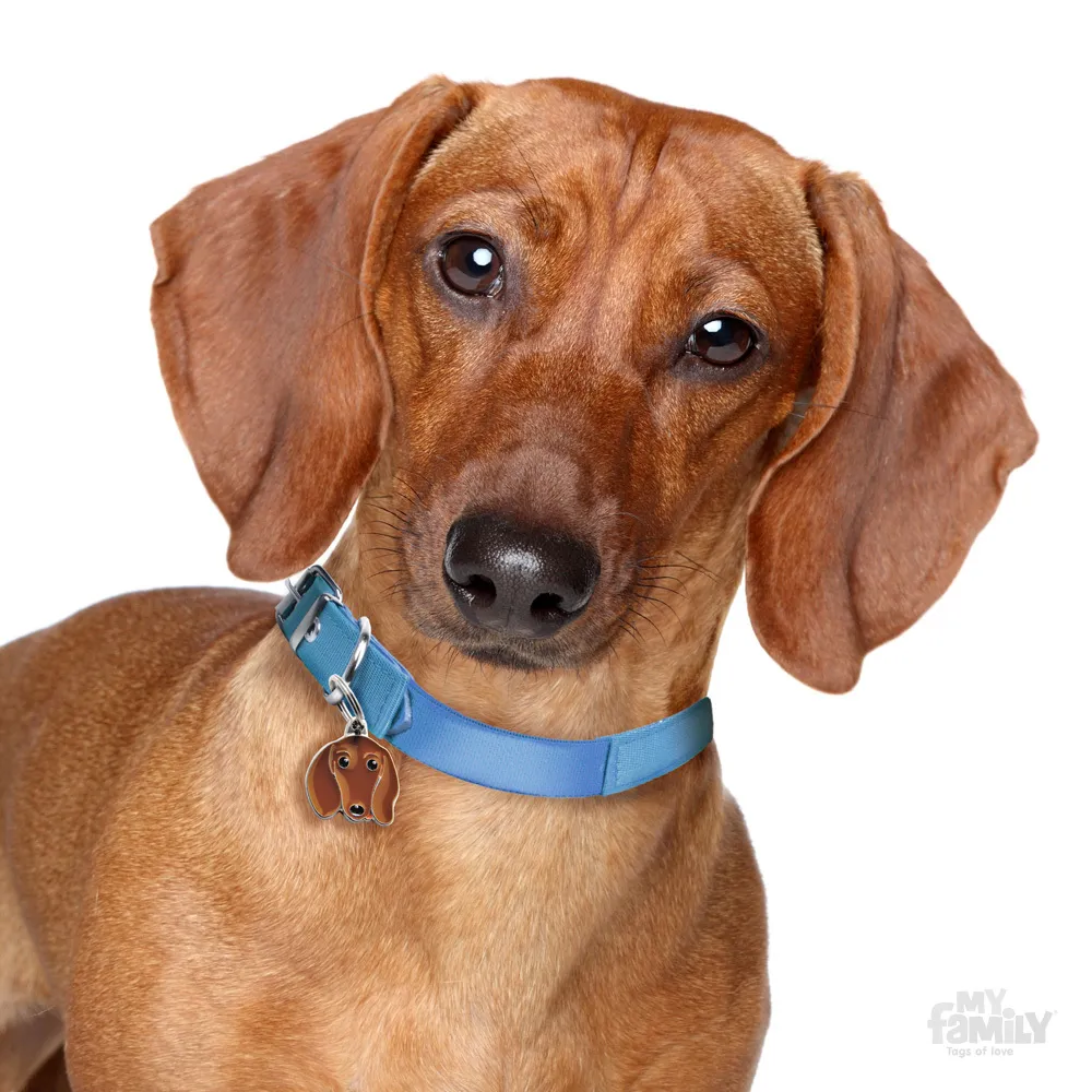 My Family Dog Tag  - Ръчно изработен адресник , Dachshund Dog за кучета 2.5 см/ 2.3 см. кафяв 2
