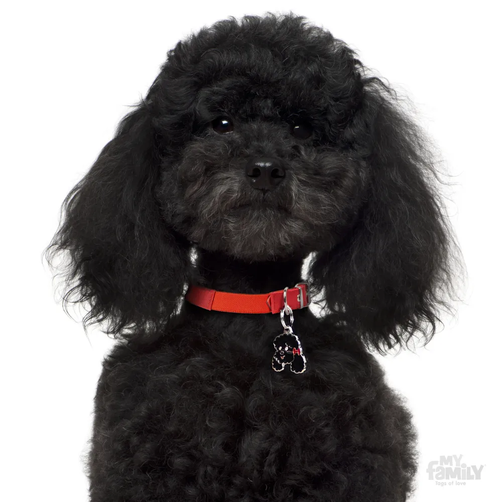 My Family Dog Tag  - Ръчно изработен адресник , Poodle Dog за кучета 2.5 см/ 2.3 см. черен 2