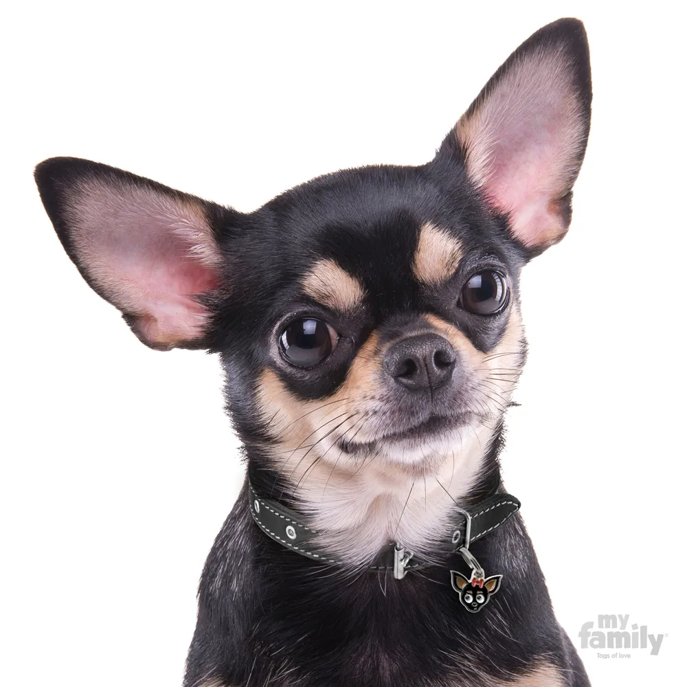 My Family Dog Tag  - Ръчно изработен адресник , Chihuahua Dog за кучета 2.5 см/ 2.2 см.  2