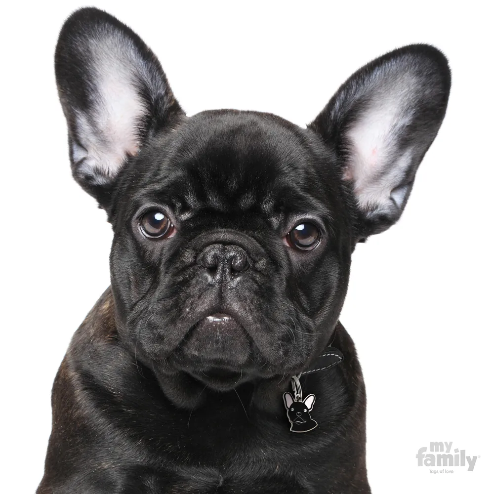 My Family Dog Tag  - Ръчно изработен адресник , Black French BullDog за кучета 2.7 см/ 2.3 см. черен 2