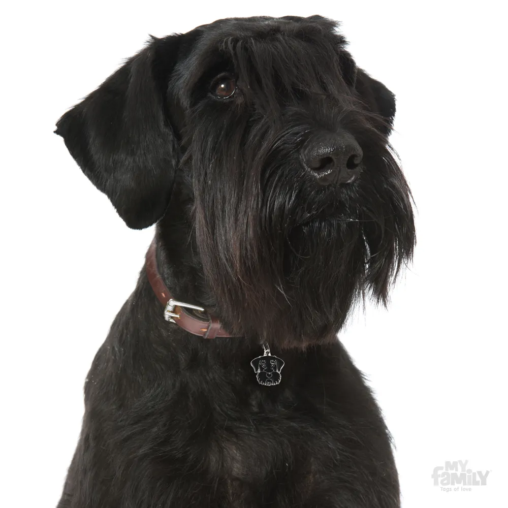 My Family Dog Tag  - Ръчно изработен адресник , Black Schnauzer Dog за кучета 3.0 см/ 2.7 см. черен 2