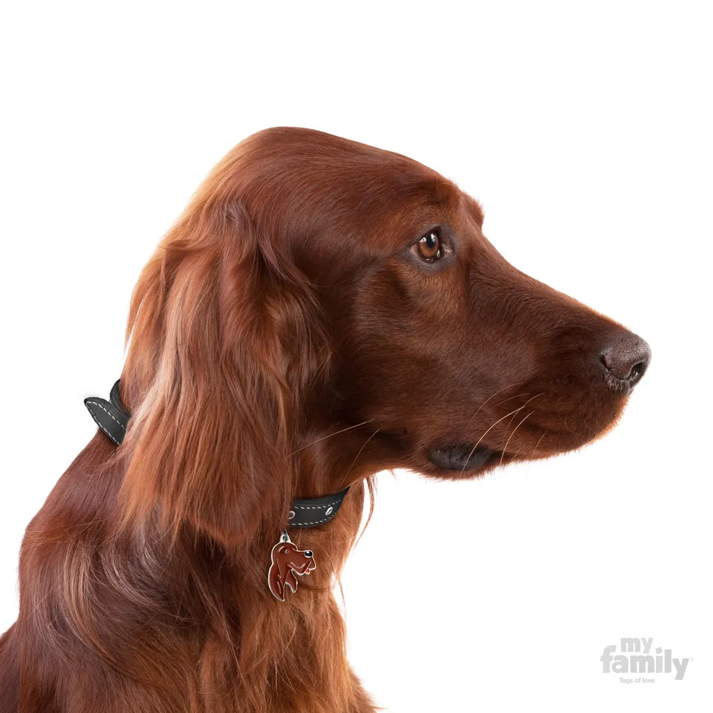 My Family Dog Tag  - Ръчно изработен адресник , Irish Setter Dog за кучета 3.0 см/ 3.5 см.  2