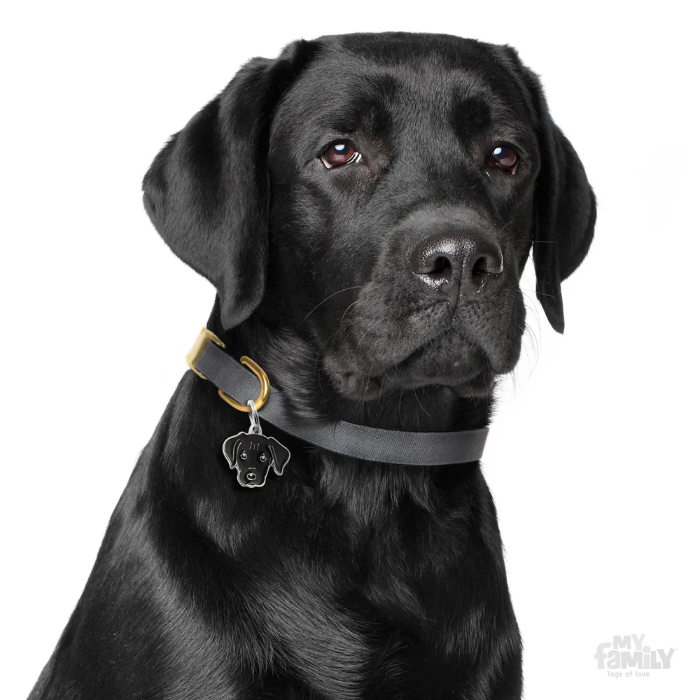 My Family Dog Tag  - Ръчно изработен адресник , Labrador Dog за кучета 3.3 см/ 2.6 см. черен 2